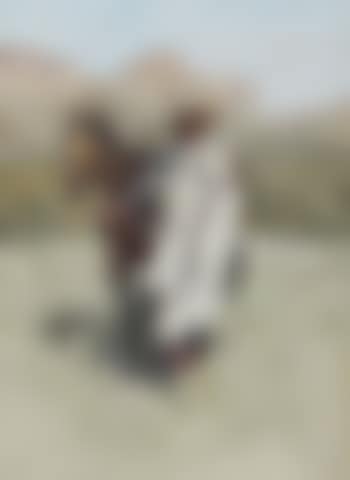 Indian Scout (preview)