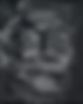 Warrior Monk No.12.2 (preview)