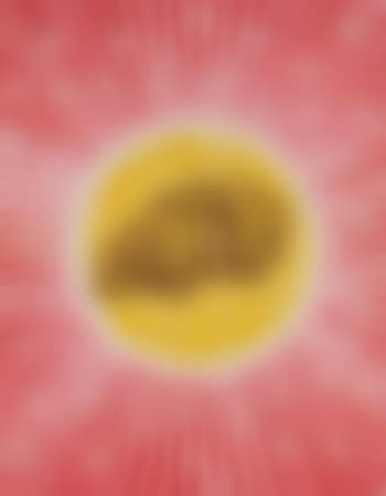 Untitled (preview)