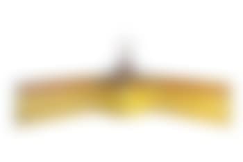 Futur-camera con lampada [Future-camera with lamp] (preview)