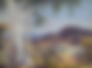 Ghost gums (preview)
