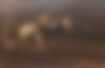 Bauer mit Pferdegespann (preview)