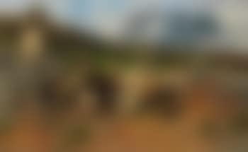 Hirtenjunge mit Schafen im Gebirge (preview)
