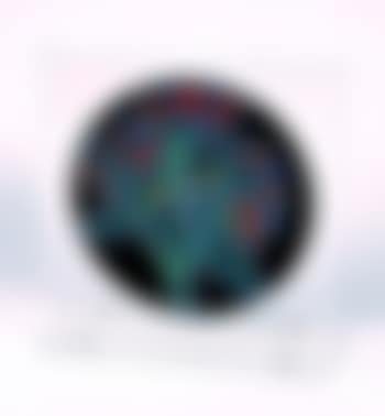 Disque vinyle (preview)