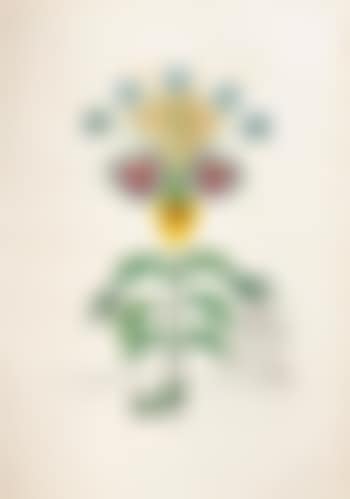 178 Flora Dalinae (preview)
