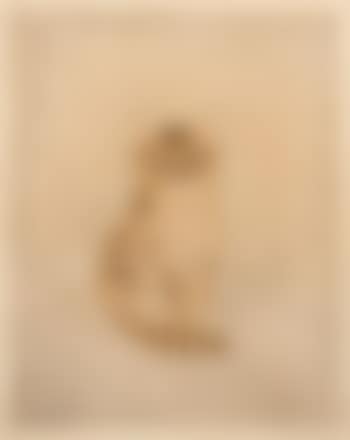Chat brun (preview)