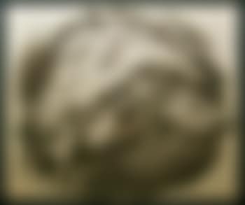 Stierkopf (preview)