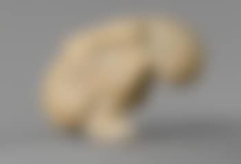 Contortionist (preview)