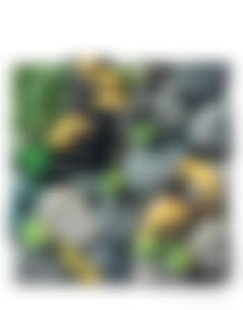 Funghi e noci sul greto (preview)