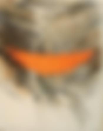 Valley curtain (Project for Colorado) (preview)