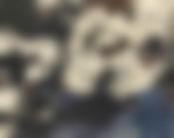 Ornations L-R-4-57 (preview)