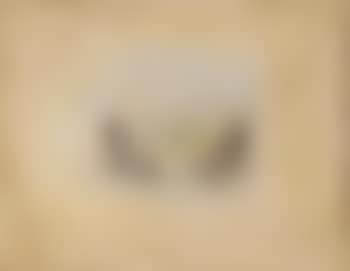 Sans titre (preview)