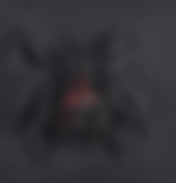 Black Widow Spider (preview)