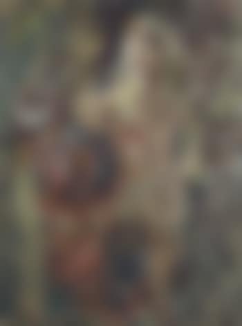 Grande Figure (preview)