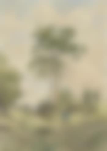 Un promeneur sur une route de campagne (preview)