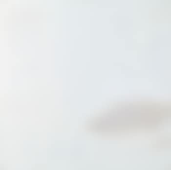 Ostende et le pantographe (preview)