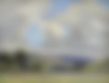 Summer pasture with cattle grazing in the foreground (preview)