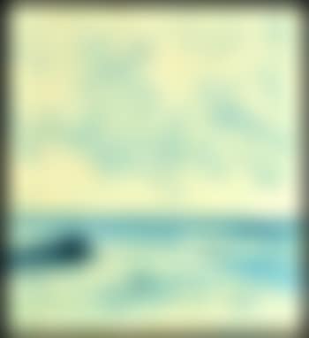 Meeresstrand mit Möwen (preview)
