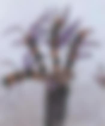 Palm Tree (preview)