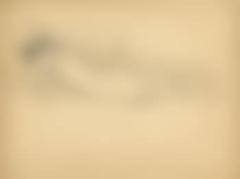 A reclining female nude, lying on her front (preview)