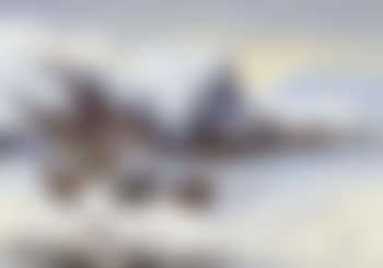 Grouse in a winter landscape (preview)
