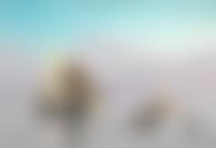 Calm day on the sea with several ships at anchor (preview)