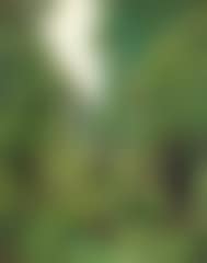 Apple-scrumping (preview)