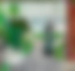 Woman in a garden by the sea (preview)