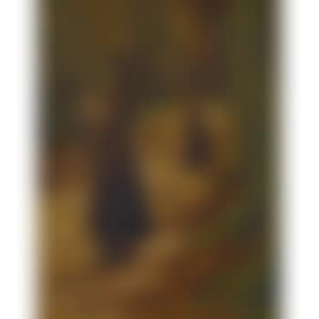 Two women in a wood (preview)