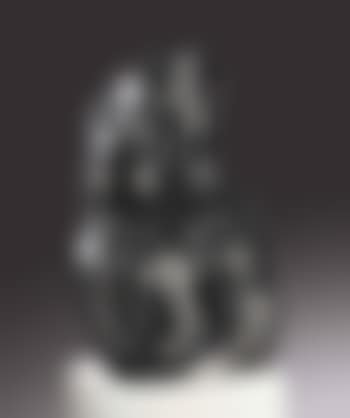 Double Portrait of Henk and Nel Wiegersma (preview)