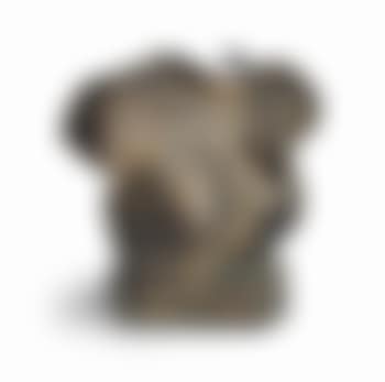 Venus (preview)