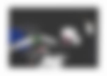 Oriental Garden I (preview)