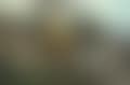 Autumn Landscape of Mt. InWang (preview)