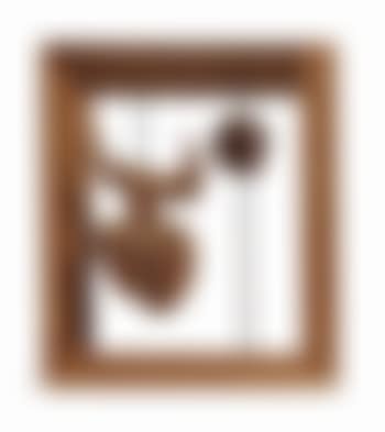 Petite Confidence (preview)