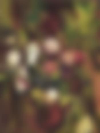 Flowers (preview)