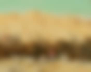 In New Mexico (preview)