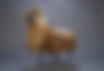 Mouton de laine (preview)