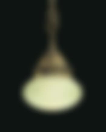 A Hanging Light From The Briars, Long Island, NY (preview)