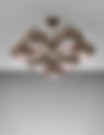 Ceiling light (preview)