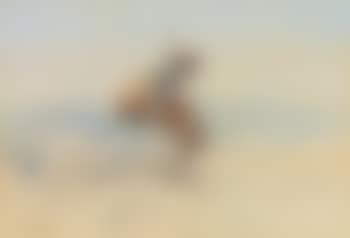 Bucking Bronc (preview)