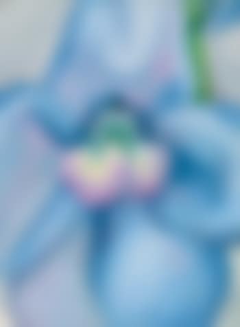 Blue Flower (The Blue Flower) (preview)