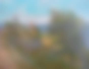 Paysage (preview)