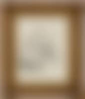 [Untitled] (preview)