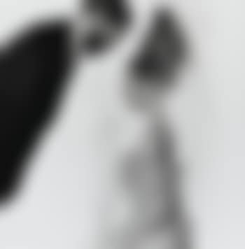 Audrey Hepburn And Mel Ferrer, Paris, For Vogue (preview)