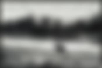 Elephant (preview)