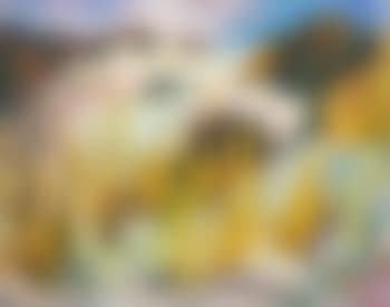 Paysage d'Ibiza (preview)
