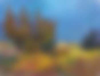 Paysage au crépuscule (preview)