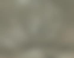 Baumlandschaft mit Felsbrocken (preview)