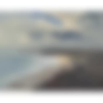 The lonely shore (preview)