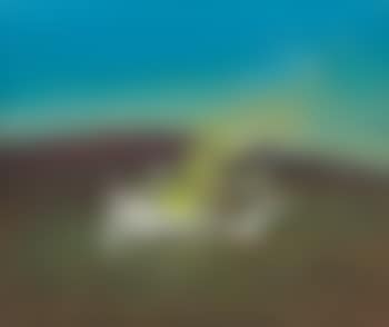 Nebuchadnezzar on fire, fallen in a field (preview)